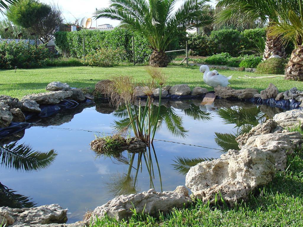 Quinta Beira-Mar Bed & Breakfast Azenhas do Mar Exterior photo